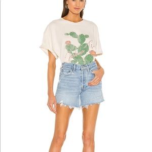 NWT Agolde vintage Parker high rise jean shorts